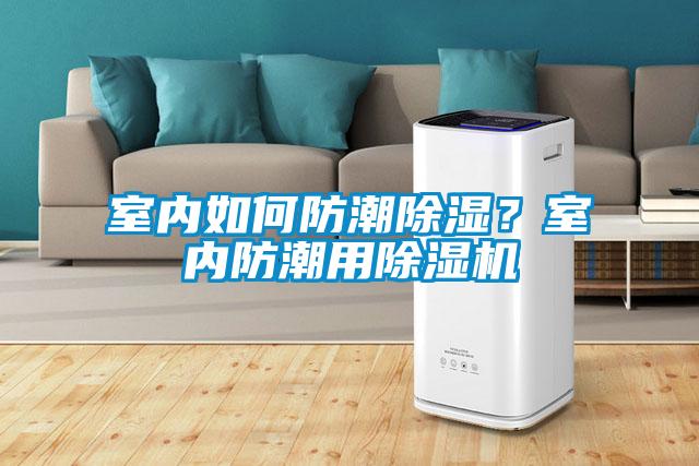 室內如何防潮除濕？室內防潮用除濕機