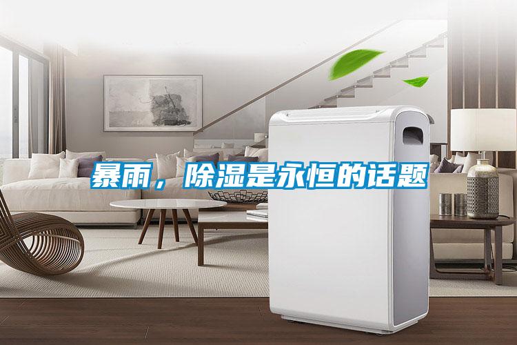 暴雨，除濕是永恒的話題