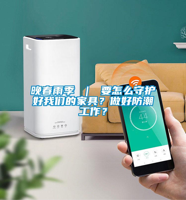 晚春雨季 ｜ 要怎么守護好我們的家具？做好防潮工作？