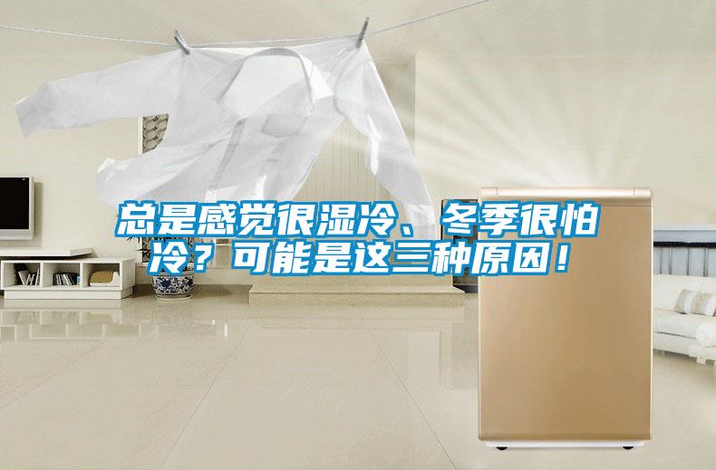 總是感覺很濕冷、冬季很怕冷？可能是這三種原因！