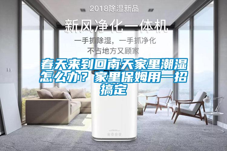 春天來到回南天家里潮濕怎么辦？家里保姆用一招搞定