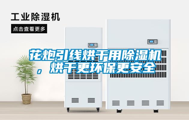 花炮引線烘干用除濕機(jī)，烘干更環(huán)保更安全