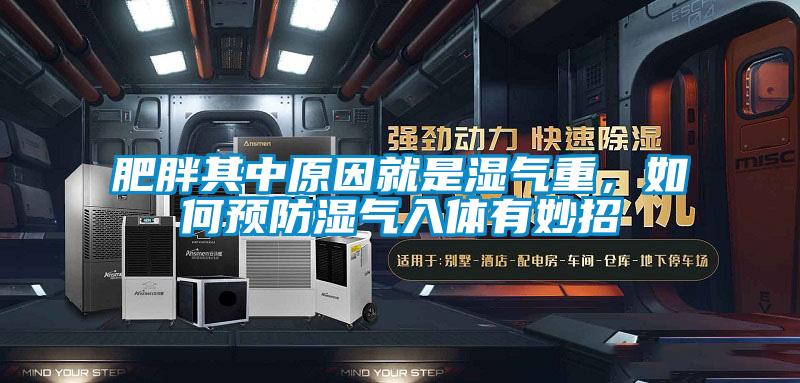 肥胖其中原因就是濕氣重，如何預(yù)防濕氣入體有妙招
