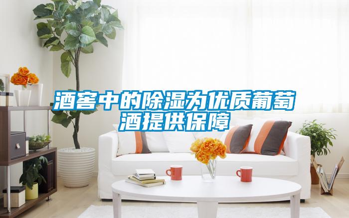 酒窖中的除濕為優(yōu)質葡萄酒提供保障