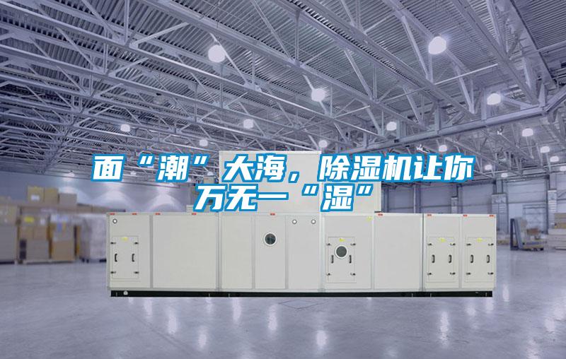 面“潮”大海，除濕機(jī)讓你萬無一“濕”
