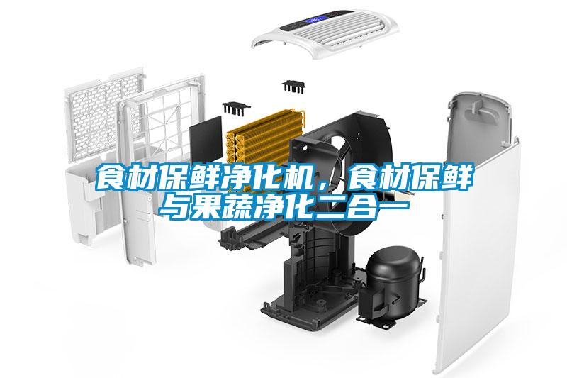 食材保鮮凈化機(jī)，食材保鮮與果蔬凈化二合一