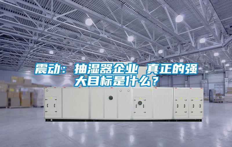 震動(dòng)：抽濕器企業(yè) 真正的強(qiáng)大目標(biāo)是什么？