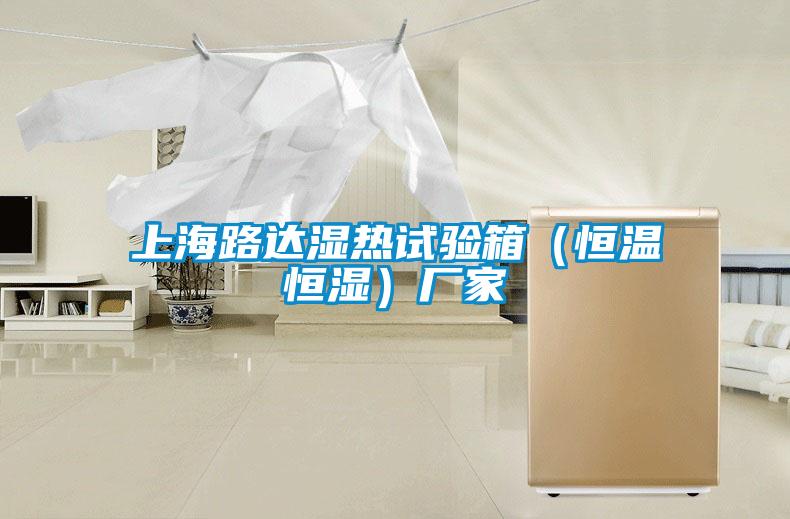 上海路達(dá)濕熱試驗箱（恒溫恒濕）廠家