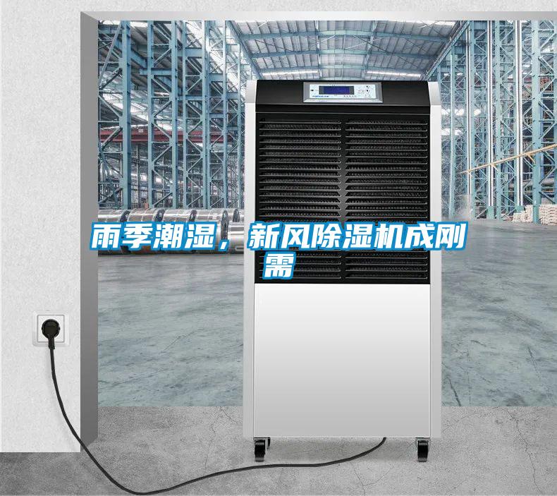 雨季潮濕，新風除濕機成剛需