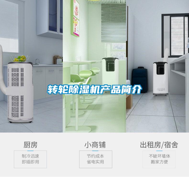 轉(zhuǎn)輪除濕機產(chǎn)品簡介
