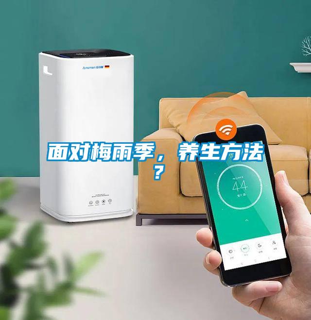 面對梅雨季，養生方法？