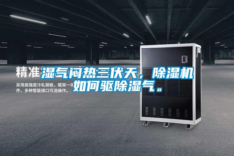濕氣悶熱三伏天，除濕機如何驅除濕氣。