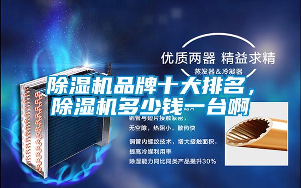 除濕機品牌十大排名，除濕機多少錢一臺啊