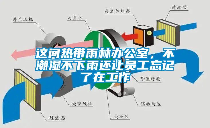 這間熱帶雨林辦公室，不潮濕不下雨還讓員工忘記了在工作