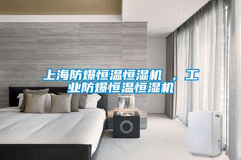 上海防爆恒溫恒濕機 ，工業防爆恒溫恒濕機