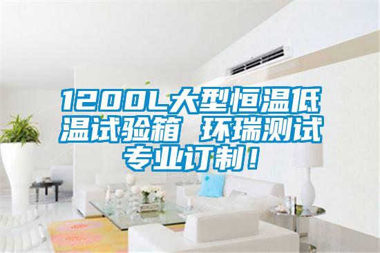 1200L大型恒溫低溫試驗(yàn)箱 環(huán)瑞測(cè)試專(zhuān)業(yè)訂制！