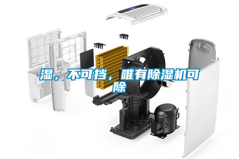 濕，不可擋，唯有除濕機(jī)可除