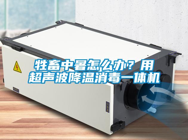牲畜中暑怎么辦？用超聲波降溫消毒一體機(jī)
