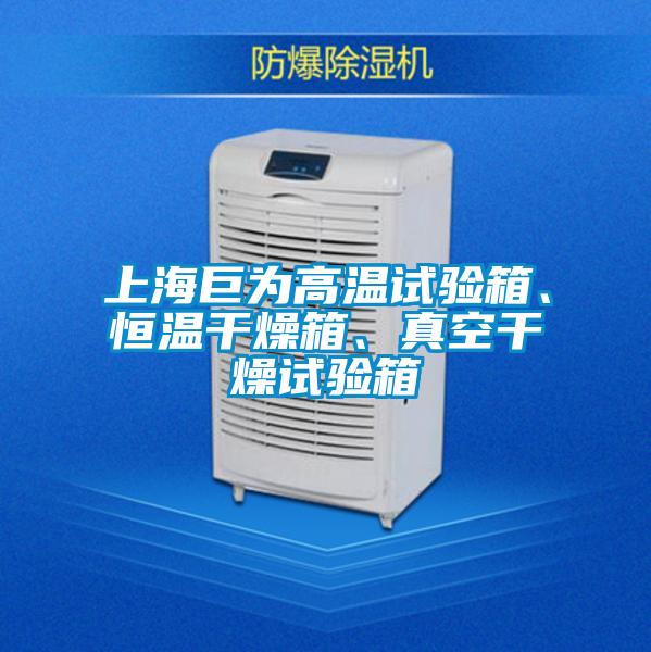 上海巨為高溫試驗箱、恒溫干燥箱、真空干燥試驗箱