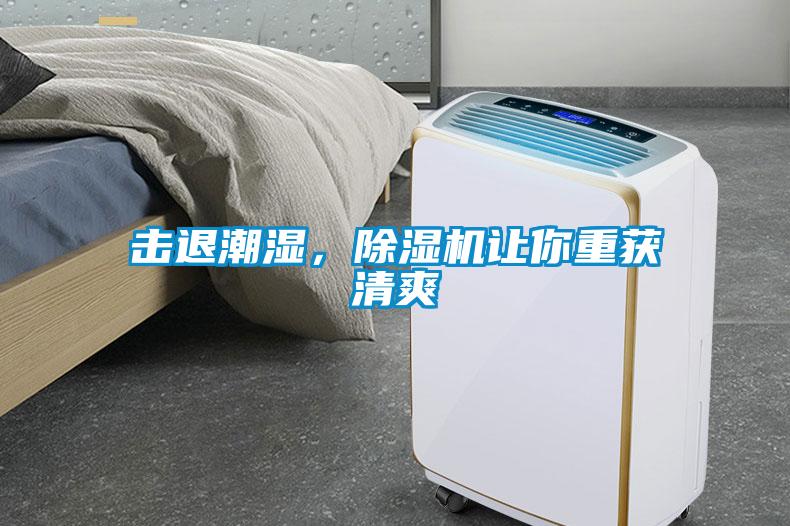 擊退潮濕，除濕機讓你重獲清爽