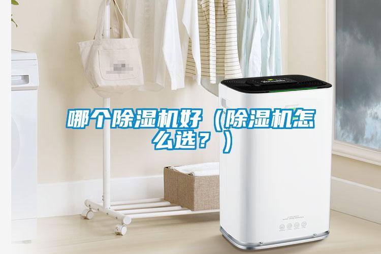 哪個(gè)除濕機(jī)好（除濕機(jī)怎么選？）