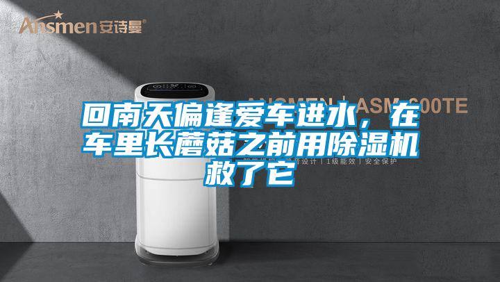 回南天偏逢愛車進水，在車?yán)镩L蘑菇之前用除濕機救了它