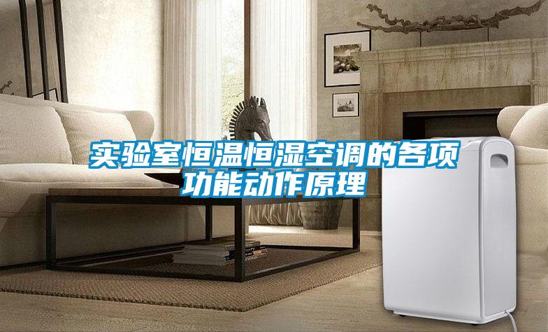 實(shí)驗(yàn)室恒溫恒濕空調(diào)的各項(xiàng)功能動作原理