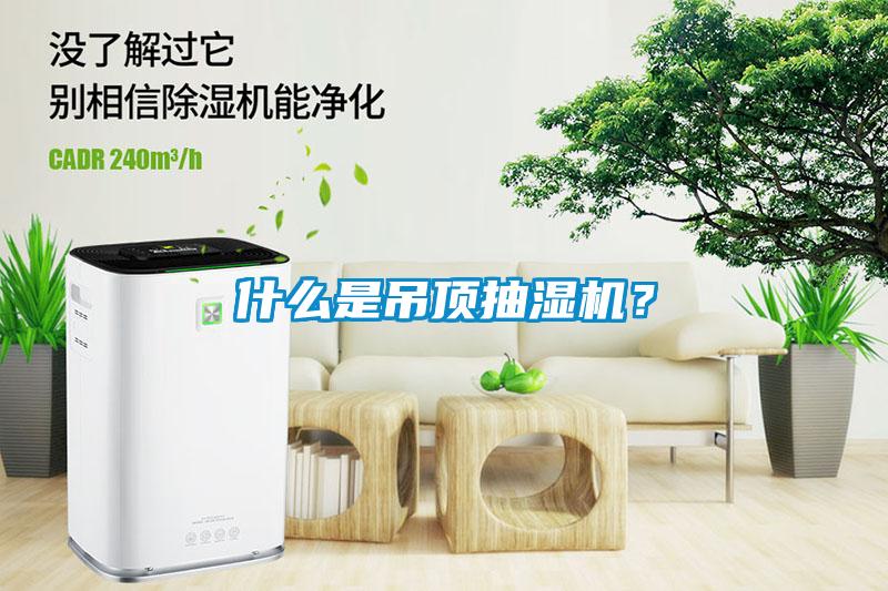 什么是吊頂抽濕機？