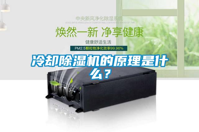 冷卻除濕機的原理是什么？
