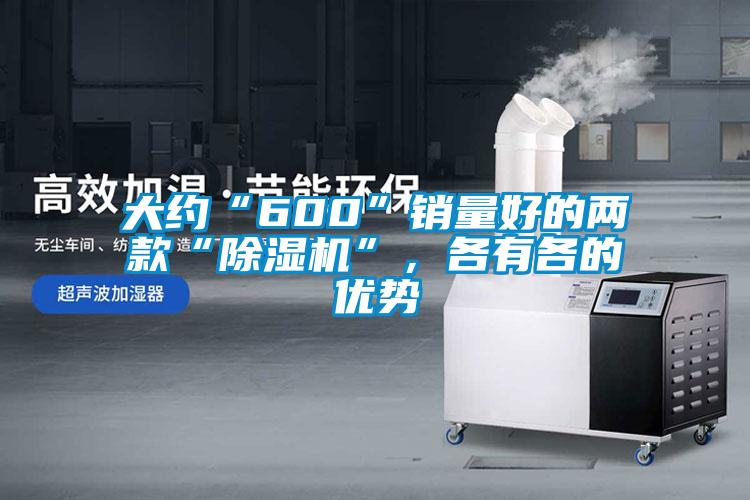 大約“600”銷量好的兩款“除濕機”，各有各的優勢