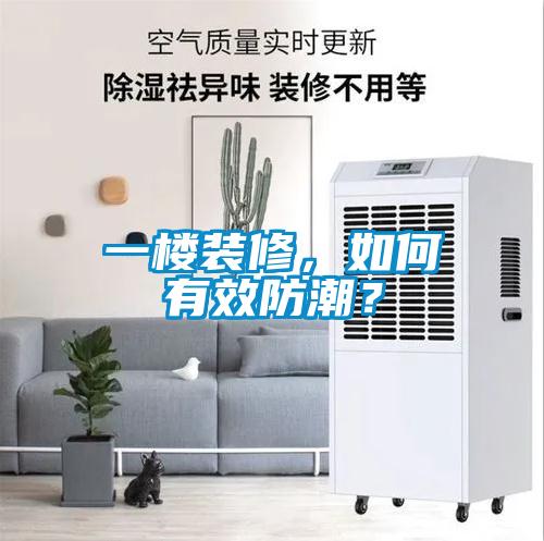 一樓裝修，如何有效防潮？
