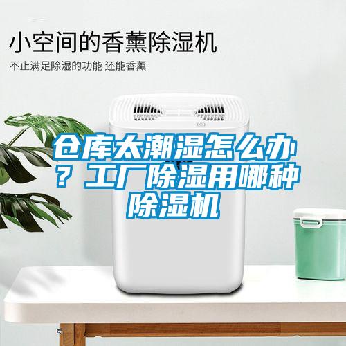 倉庫太潮濕怎么辦？工廠除濕用哪種除濕機
