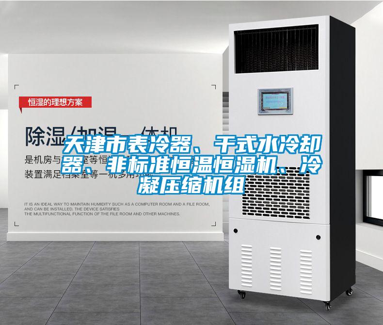 天津市表冷器、干式水冷卻器、非標(biāo)準(zhǔn)恒溫恒濕機(jī)、冷凝壓縮機(jī)組