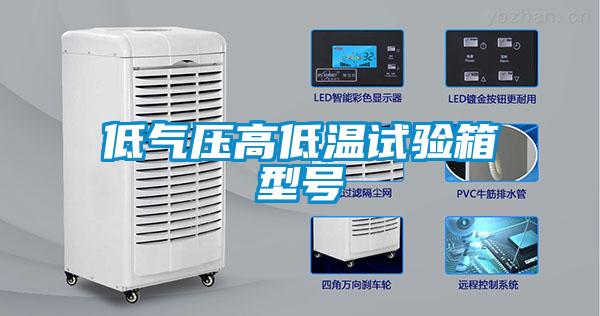 低氣壓高低溫試驗(yàn)箱型號