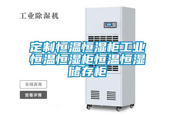 定制恒溫恒濕柜工業(yè)恒溫恒濕柜恒溫恒濕儲(chǔ)存柜