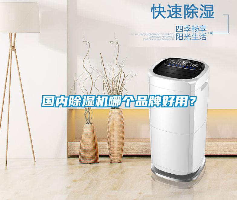 國內除濕機哪個品牌好用？