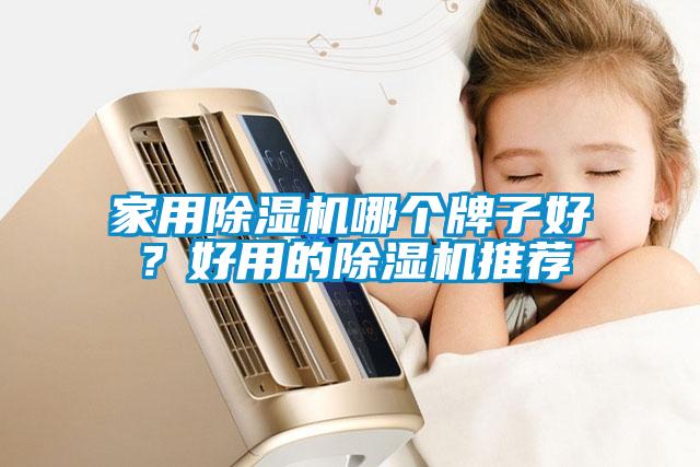 家用除濕機哪個牌子好？好用的除濕機推薦