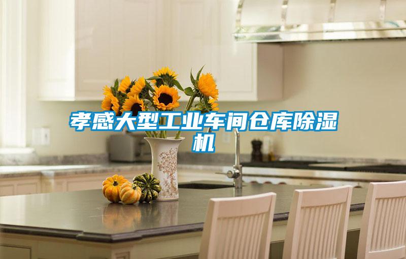 孝感大型工業(yè)車間倉(cāng)庫(kù)除濕機(jī)