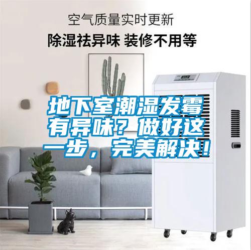 地下室潮濕發霉有異味？做好這一步，完美解決！
