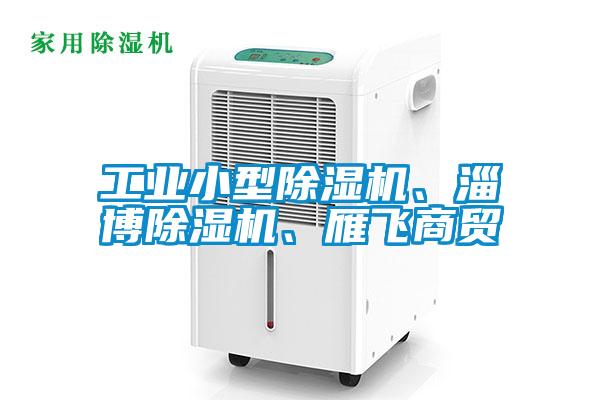 工業(yè)小型除濕機(jī)、淄博除濕機(jī)、雁飛商貿(mào)