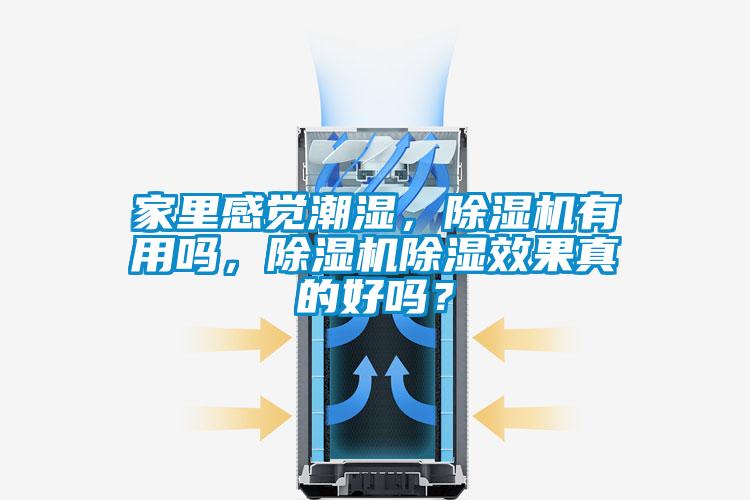 家里感覺潮濕，除濕機有用嗎，除濕機除濕效果真的好嗎？