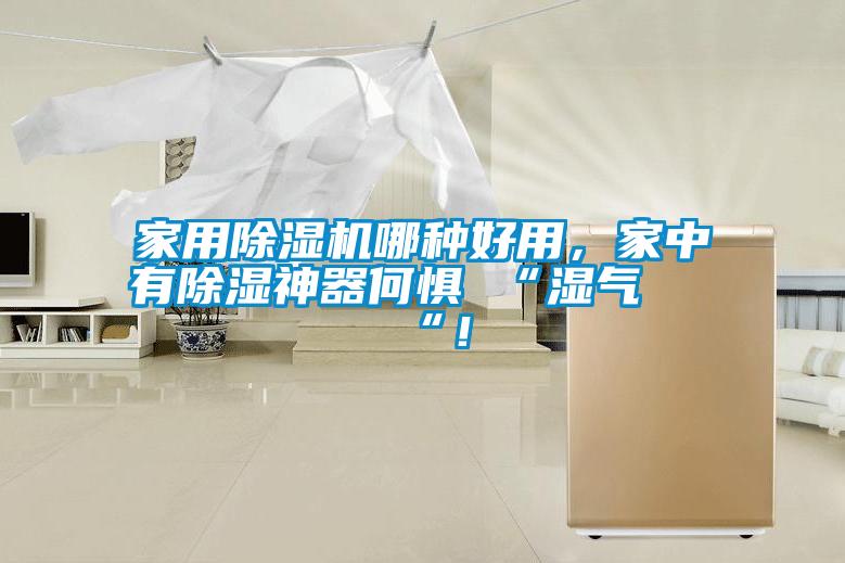 家用除濕機(jī)哪種好用，家中有除濕神器何懼 “濕氣 “！