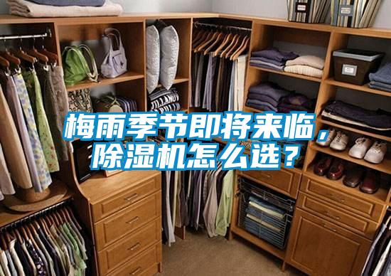 梅雨季節即將來臨，除濕機怎么選？