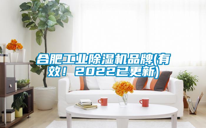 合肥工業(yè)除濕機(jī)品牌(有效！2022已更新)