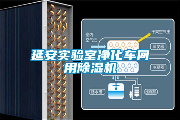 延安實(shí)驗(yàn)室凈化車(chē)間用除濕機(jī)