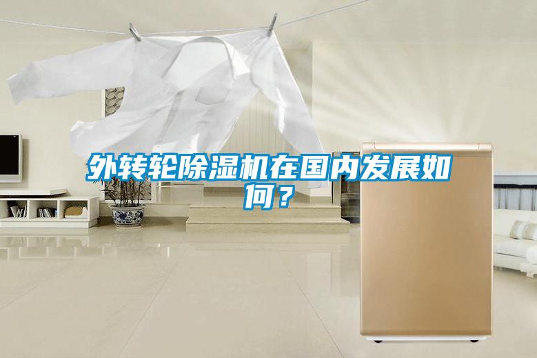 外轉輪除濕機在國內發(fā)展如何？