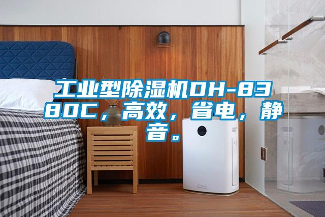 工業型除濕機DH-8380C，高效，省電，靜音。