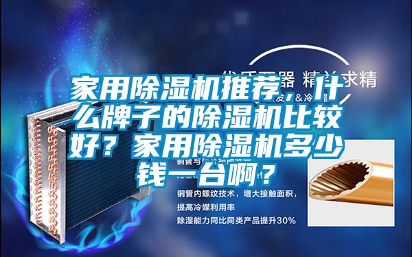 家用除濕機推薦，什么牌子的除濕機比較好？家用除濕機多少錢一臺?。?/></p>
						    <p style=