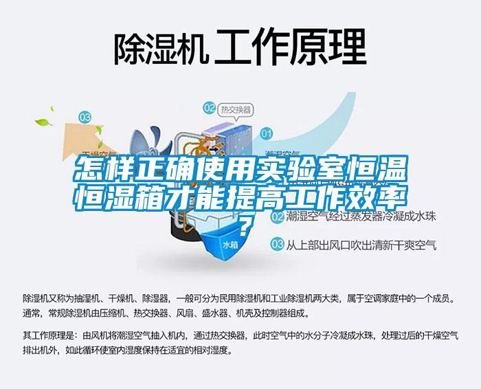 怎樣正確使用實驗室恒溫恒濕箱才能提高工作效率？