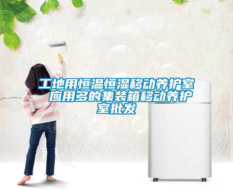 工地用恒溫恒濕移動養(yǎng)護室 應(yīng)用多的集裝箱移動養(yǎng)護室批發(fā)